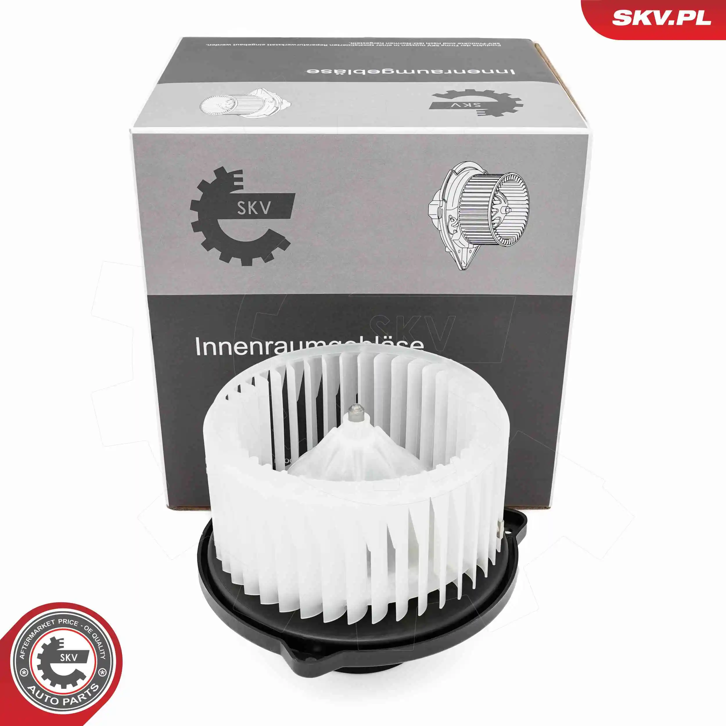Interior Blower